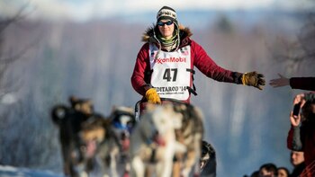 Video: el campeonato mundial de carrera de perros de trineo detuvo el tráfico en Alaska