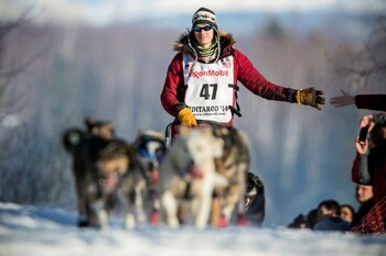 El Iditarod sigue siendo legal