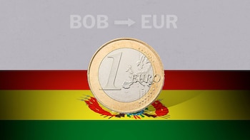La cotización del euro en el país generalmente se registra estable. (Infobae)