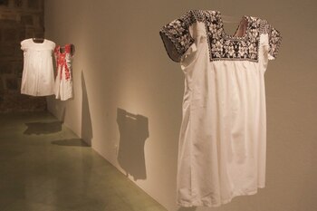 La nueva Ley protegerá la