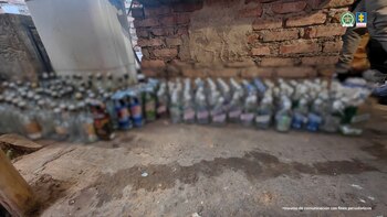 Una organización criminal dedicada a