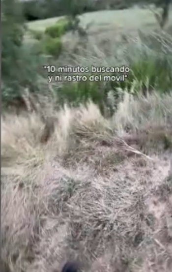 iPhone logra sobrevivir a caída