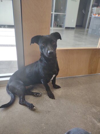 La administración del refugio hizo