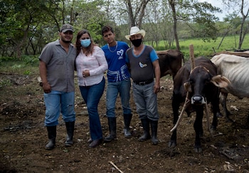 En varios municipios, el ganado