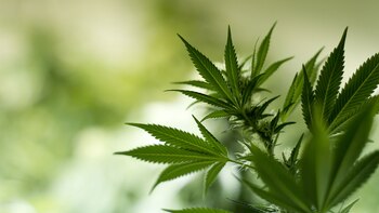 Fue detenido un hombre que