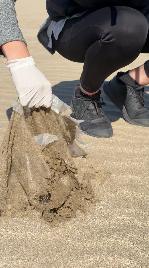 El plástico de un solo uso compone entre 60 y 95% de la contaminación oceánica