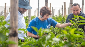 La FAO respalda a El