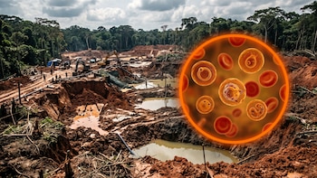 La minería ilegal en Crucitas concentra el 88% de los casos locales de malaria en Costa Rica