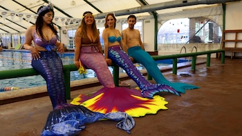 La comunidad argentina de sirenismo