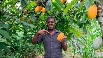 El paquete de subsidios incluye dos Líneas Especiales de Crédito vigentes hasta 2026, enfocadas en desarrollo productivo y apoyo a la Reforma Agraria - crédito Presidencia