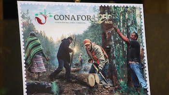 Semarnat conmemoró 25 años de la Conafor con develación de sello postal. (Foto: Semarnat)