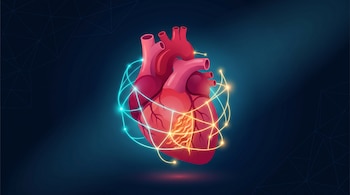 Ilustración de un corazón humano rodeado por una red de líneas brillantes cian y doradas sobre un fondo azul oscuro.