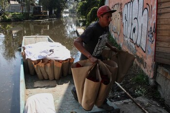 Ciudad de México 13 de
