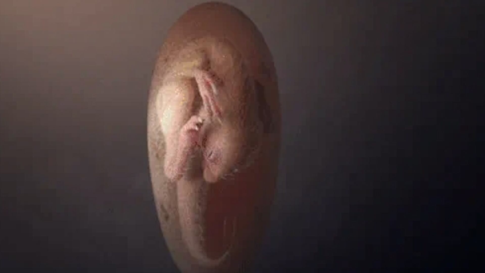 La colaboración internacional permitió aplicar la técnica en diferentes regiones, destacando la versatilidad de la calcita de cáscara de huevo como material de datación