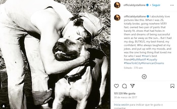 Sylvester Stallone reveló que tuvo