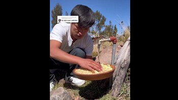 El tarwi es el ingrediente estrella en el ceviche sin pescado de Waldir Maqque. (TikTok / @waldir.maqque)