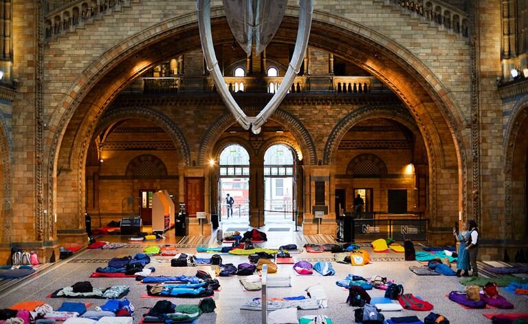 En el Natural History Museum de Londres, los adultos pueden pasar la noche bajo la ballena azul en el Gran Hall, con cócteles, música y recorridos privados.
