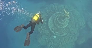 Un buzo con traje de neopreno oscuro, aletas, chaleco de flotación amarillo y tanque de oxígeno nadando sobre una escultura sumergida en el agua. Hay peces pequeños