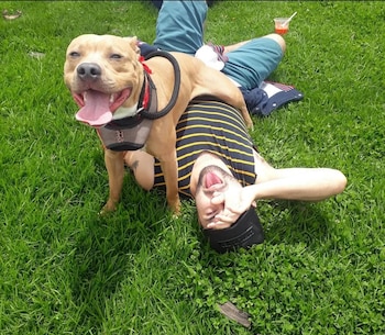 Após o retorno do câncer em março de 2026, a família de Triana priorizou a saúde e a qualidade de vida de Magnus, evitando tratamentos invasivos - crédito triannacamilo / Instagram