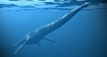 El estudio mostró que el