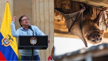 La hipótesis que compartió Petro