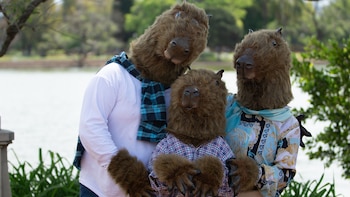 El principal objetivo es hacer