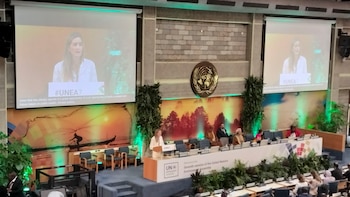 España apuesta por revitalizar la