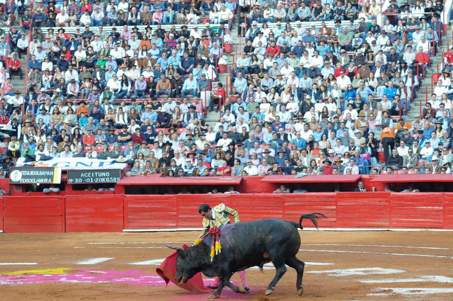 La actriz considera que la tauromaquia debe ser erradicada. (Cuartoscuro: Daniel Augusto)