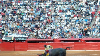 De la “demagogia política” a