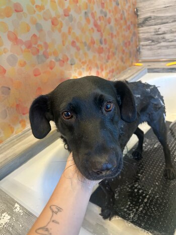 La recuperación de Milagro incluyó