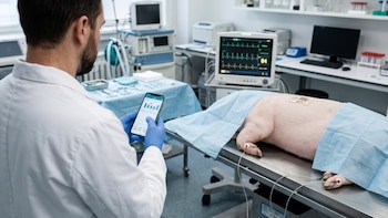 Un profesional con bata blanca y guantes azules sostiene un teléfono frente a un cerdo sobre una mesa de quirófano