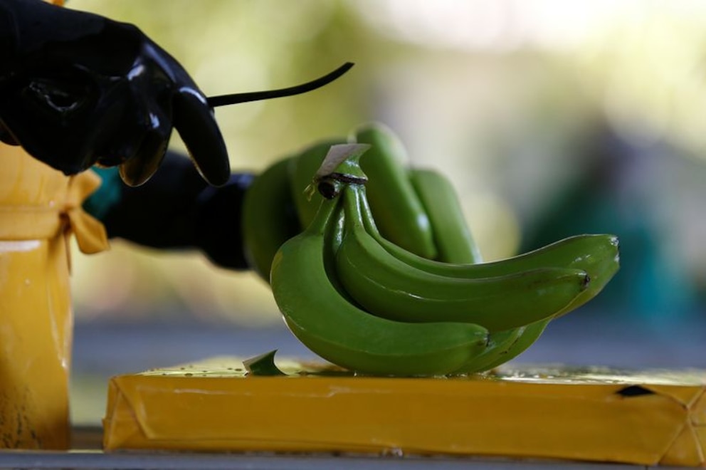 Agrifoodtech: el ecosistema tecnológico que redefine la producción y el negocio de los alimentos