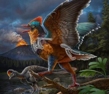 Imagen 3P36M3MFYZEIXPEFZROMHBTZII