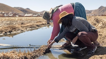 Cambio climático y saberes ancestrales: la milpa centroamericana frente al desafío