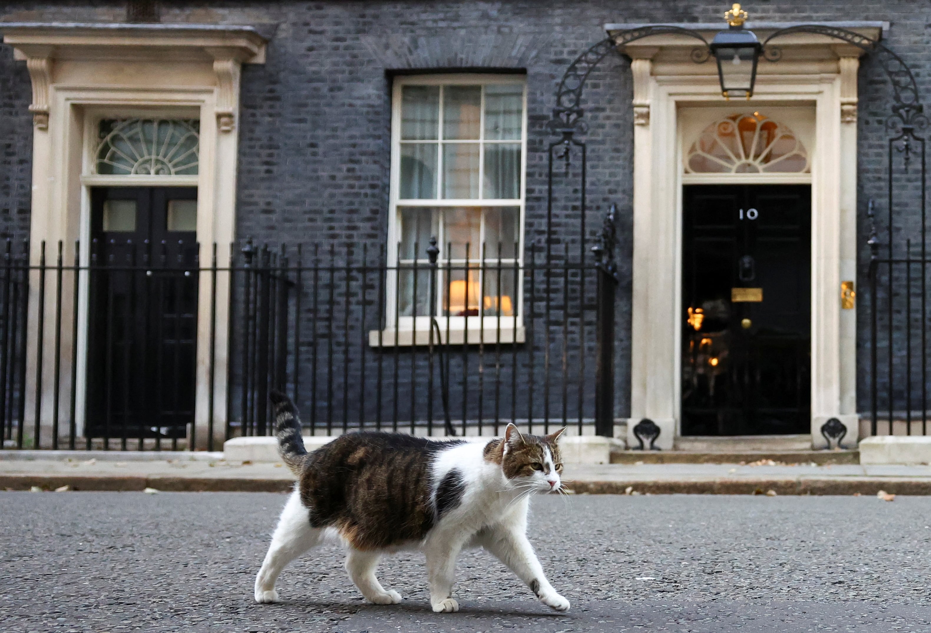 Adoptado para controlar una plaga de ratones, el felino se transformó en emblema nacional y protagonista de recuerdos y productos inspirados en su imagen
REUTERS/Hannah McKay