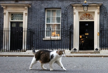 Adoptado para controlar una plaga