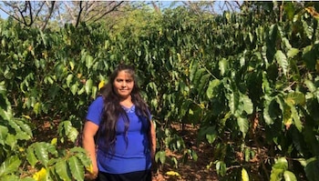 Rosario García impulsa la agricultura ecológica en su comunidad, promoviendo abonos orgánicos y diversificación productiva entre cafetaleros. (Foto cortesía FUNDE)