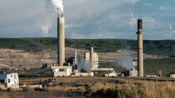 ¿Qué puede hacer el máximo