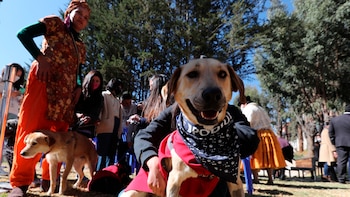 Este domingo habrá jornada de