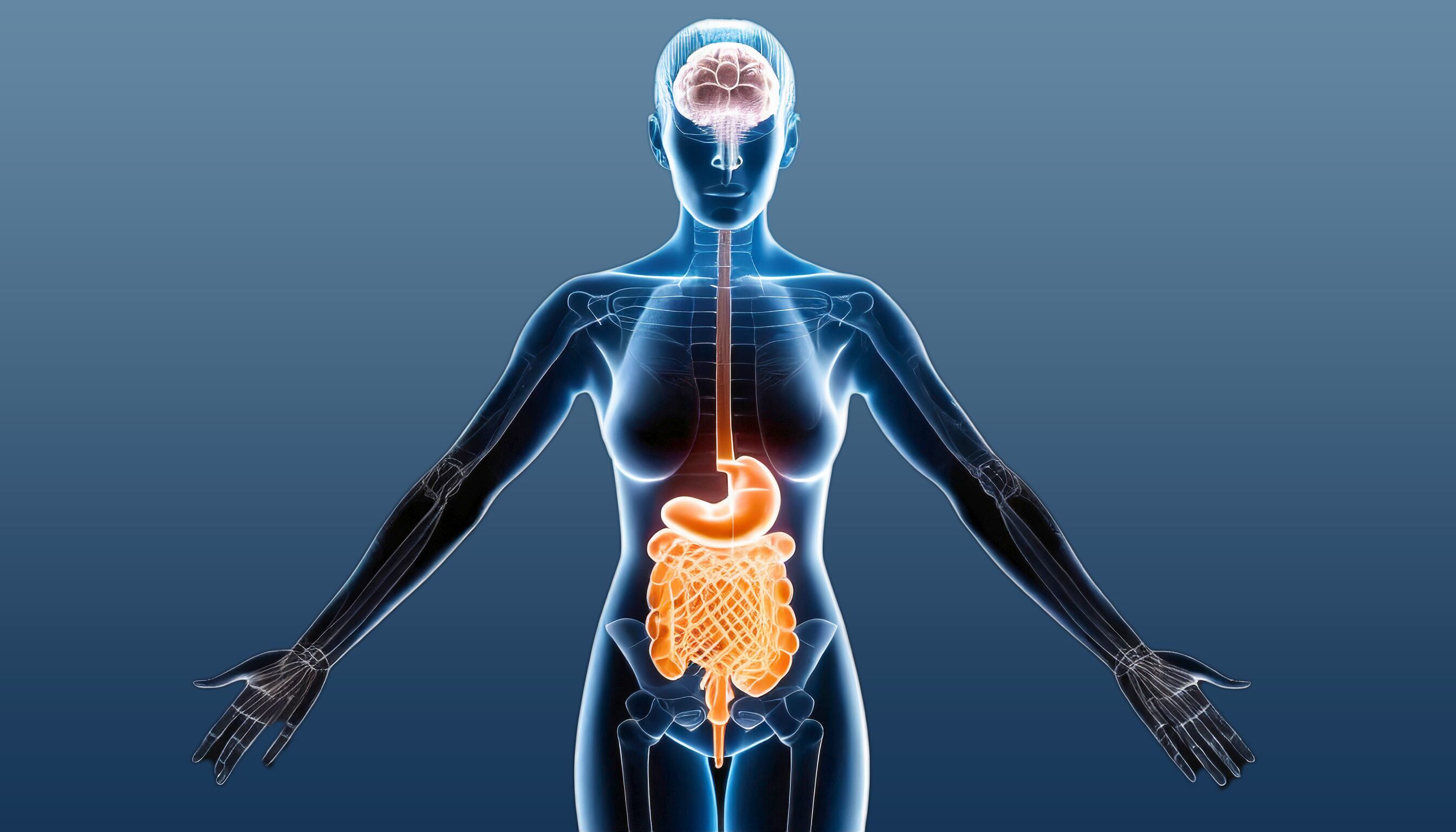 La mayoría de los casos de hígado graso no presentan síntomas claros y suelen detectarse en etapas avanzadas o por estudios de rutina (Imagen Ilustrativa Infobae)