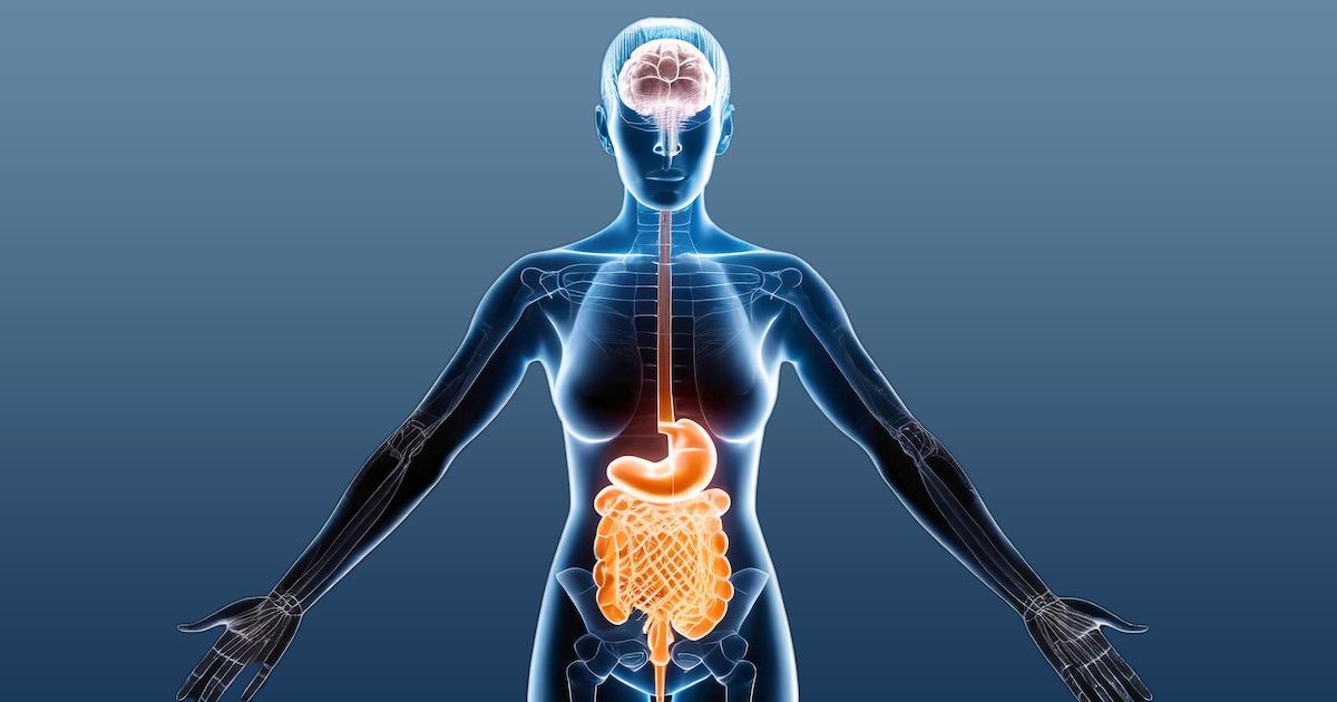 ¡Tu Intestino Habla con Tu Cerebro! Descubre la Conexión Clave para una Salud Óptima