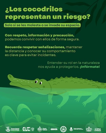 Cocodrilos muerte Jalisco Nayarit