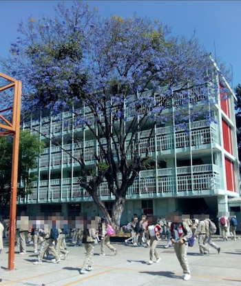 Los estudiantes iban con el