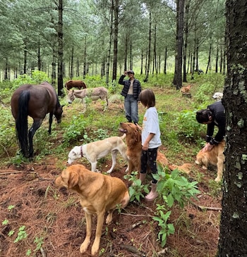 (IG: @aislinnderbez)