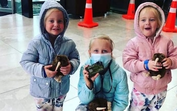 Tres niñas, dos de pie y una agachada, visten chaquetas con capucha. Dos sostienen peluches de kiwi. Una lleva mascarilla y un objeto negro. Conos naranjas al fondo