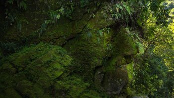 Aunque fue reconocido como Patrimonio