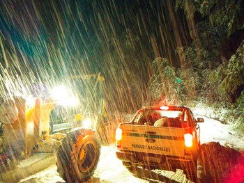 Por la intensidad de las