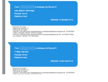 Los chats tras la muerte