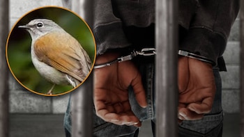 Vinculan a proceso a hombre