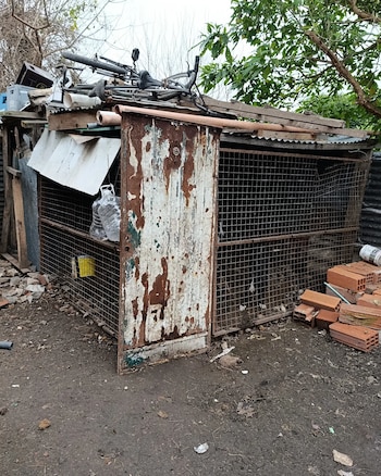 El propietario entregó voluntariamente a los cinco perros, aunque negó que existiera maltrato animal